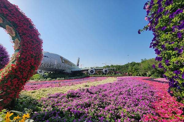 Vườn Hoa Dubai Miracle